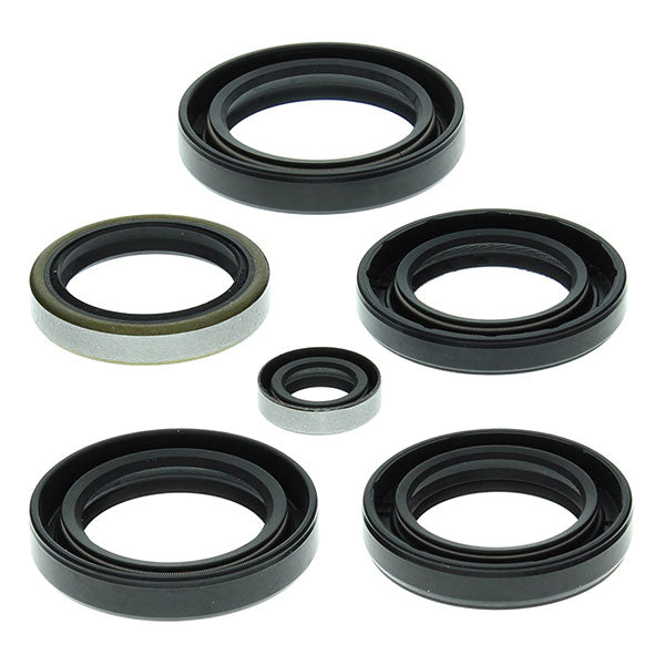 Vertex Engine Oil Seal Kit (822215)