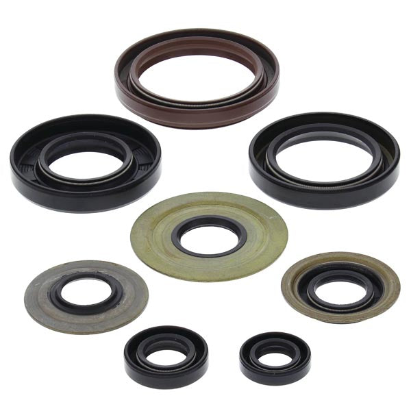 Vertex Engine Oil Seal Kit (822218)