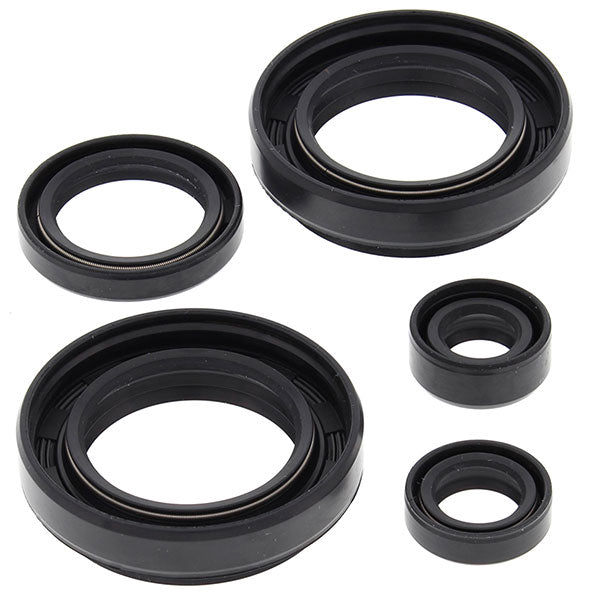 Vertex Engine Oil Seal Kit (822234)