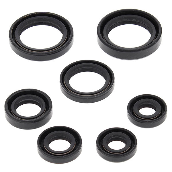 Vertex Engine Oil Seal Kit (822236)