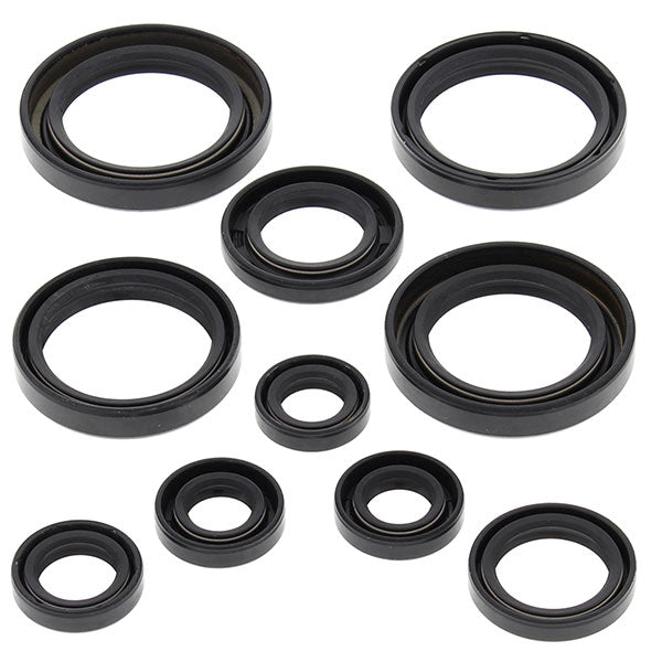 Vertex Engine Oil Seal Kit (822237)