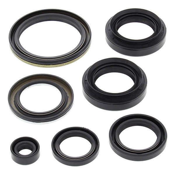 Vertex Engine Oil Seal Kit (822239)