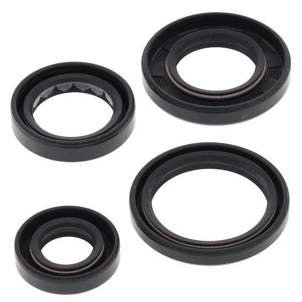 Vertex Engine Oil Seal Kit (822250)