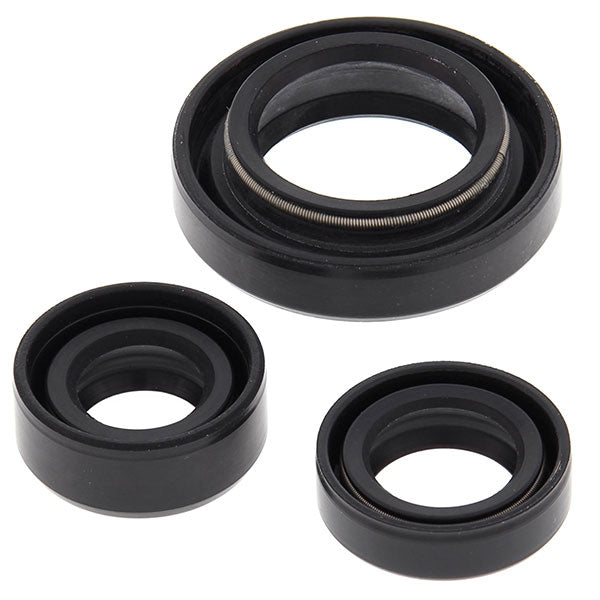 Vertex Engine Oil Seal Kit (822254)