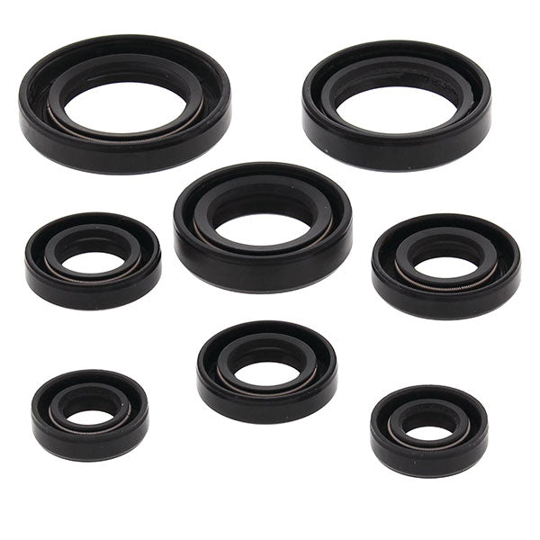 KIT DE JOINTS D'HUILE MOTEUR VERTEX (822255)