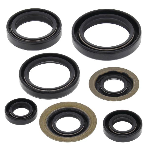 Kit de joints d'huile moteur Vertex (822260)