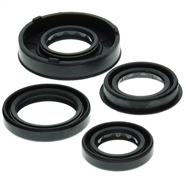 Vertex Engine Oil Seal Kit (822261)
