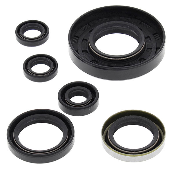 Vertex Engine Oil Seal Kit (822262)