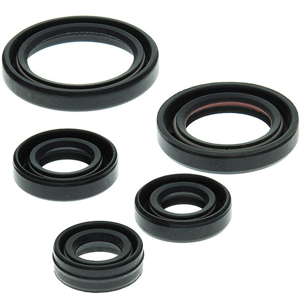 Vertex Engine Oil Seal Kit (822263)