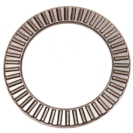 BRP Evinrude Bearings (822304)