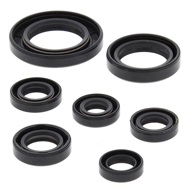 Vertex Engine Oil Seal Kit (822311)