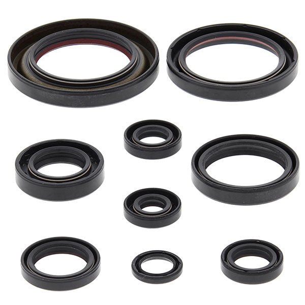 Vertex Engine Oil Seal Kit (822312)