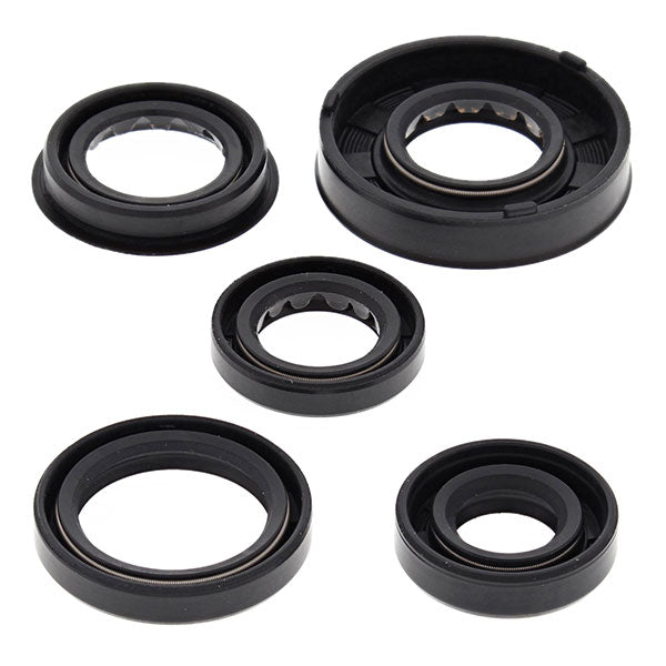 Vertex Engine Oil Seal Kit (822322)