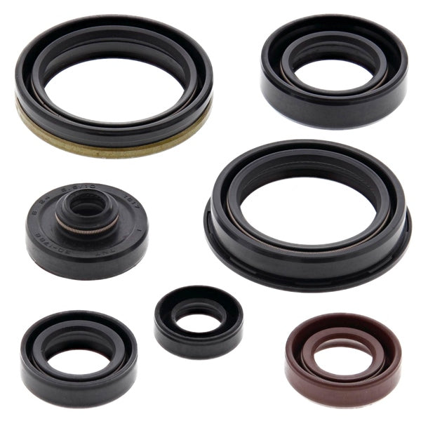 BRP Evinrude Bearings (822329)