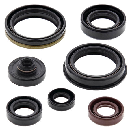BRP Evinrude Bearings (822329)