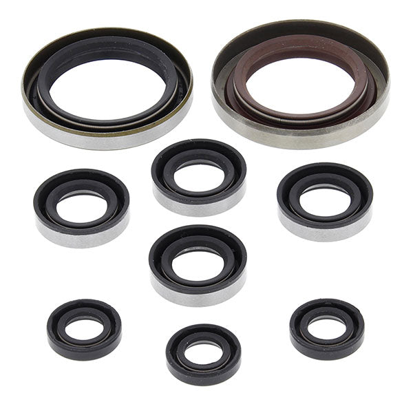 Vertex Engine Oil Seal Kit (822335)
