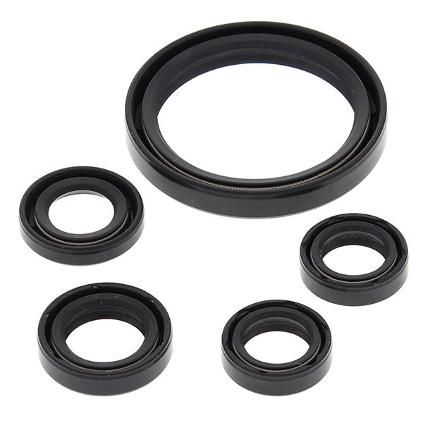 Vertex Engine Oil Seal Kit (822350)