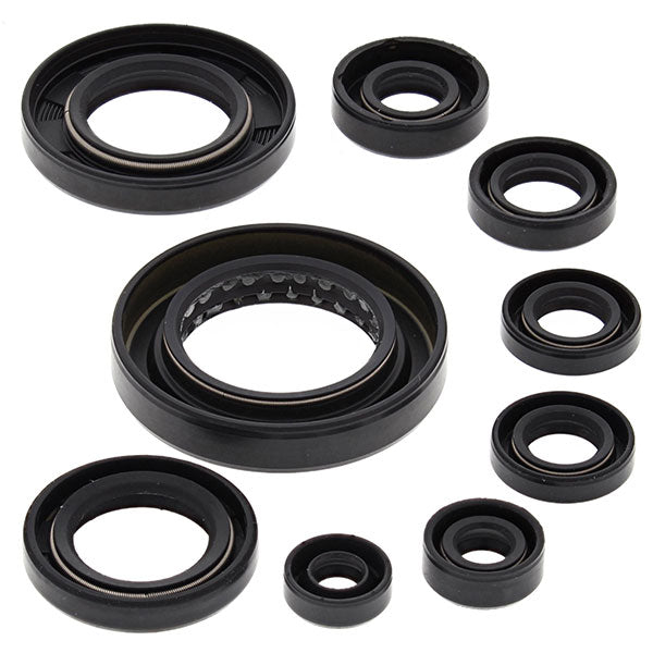 Vertex Engine Oil Seal Kit (822351)