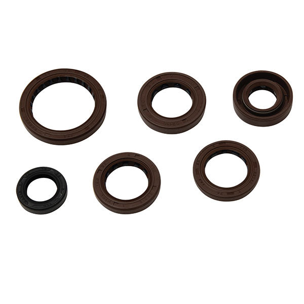 Vertex Engine Oil Seal Kit (822367)