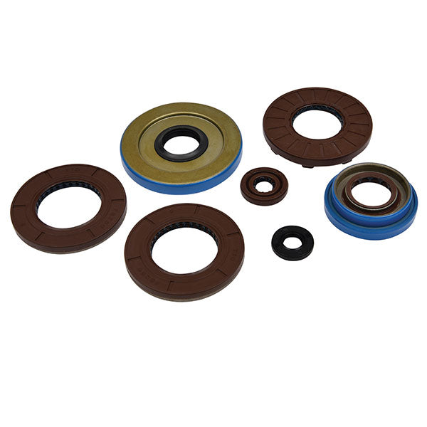 Vertex Engine Oil Seal Kit (822375)