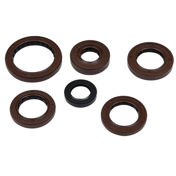 Vertex Engine Oil Seal Kit (822376)