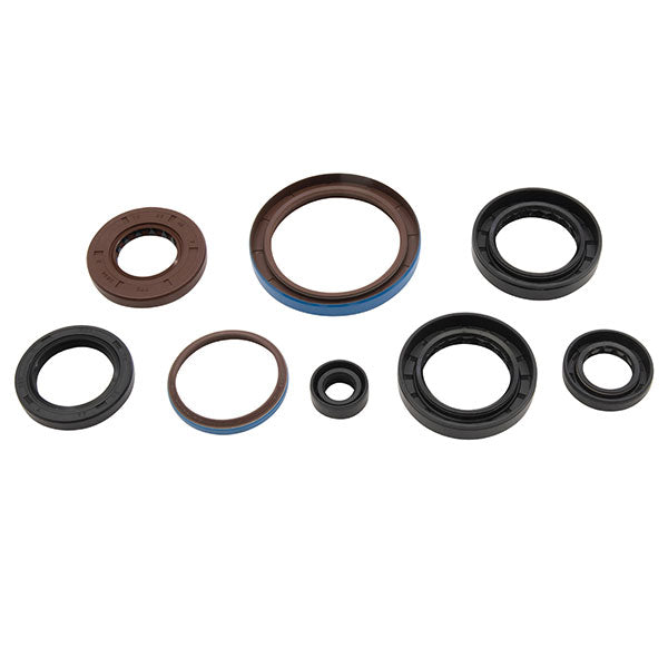 Vertex Engine Oil Seal Kit (822381)
