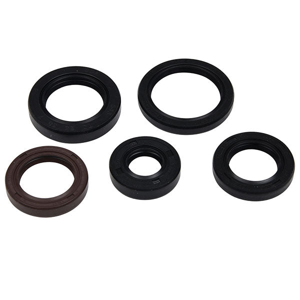 Vertex Engine Oil Seal Kit (822394)
