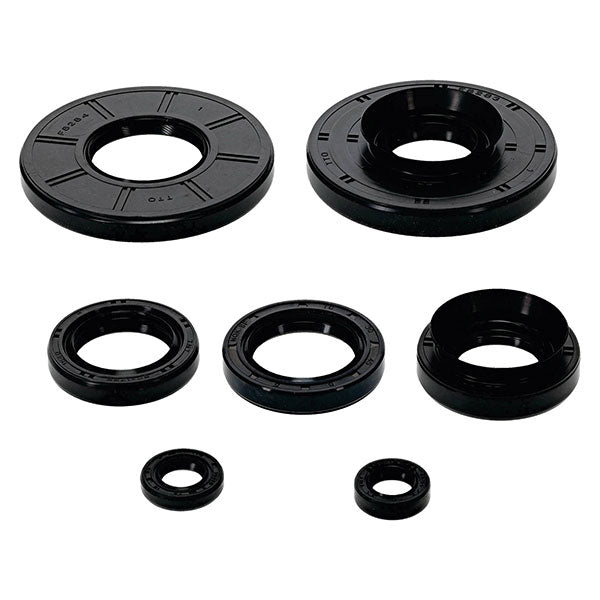 Vertex Engine Oil Seal Kit (822396)
