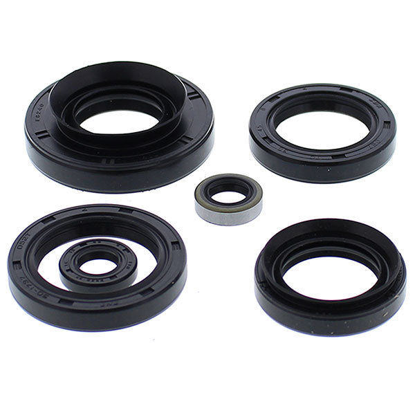Vertex Engine Oil Seal Kit (822881)