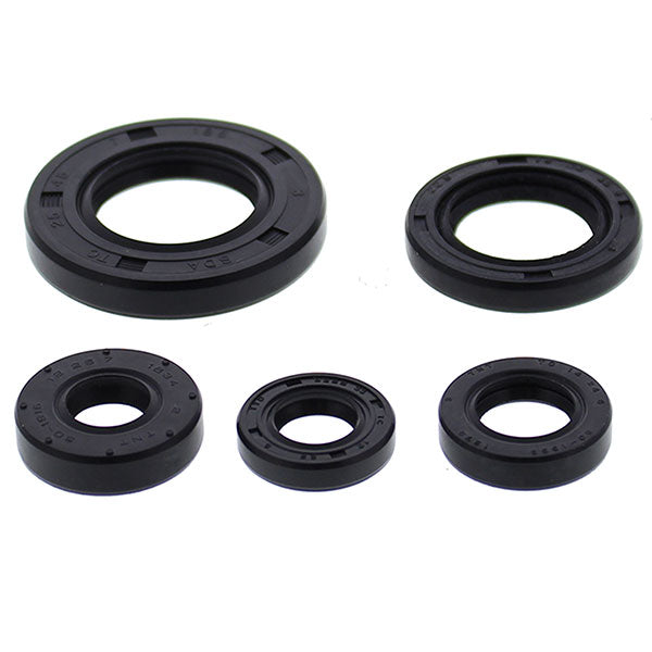 Vertex Engine Oil Seal Kit (822990)