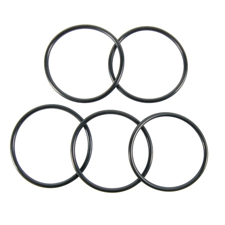 BRP Evinrude O-ring (823110)