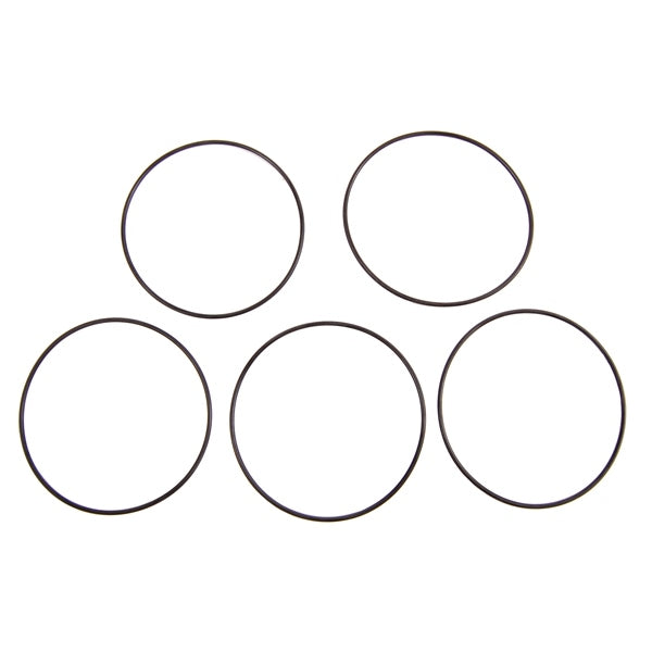 BRP Evinrude O-ring (823111)