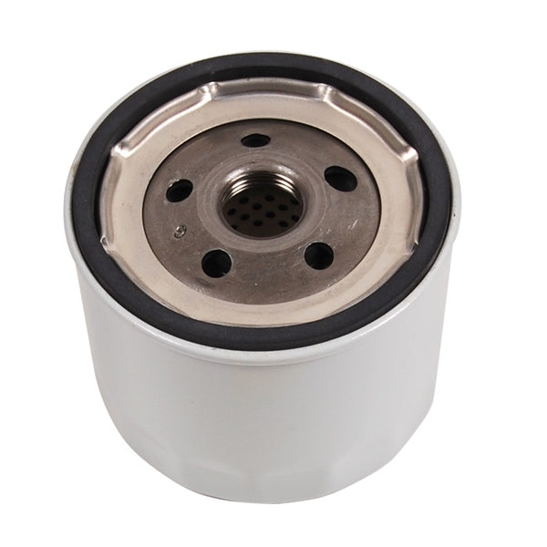 BRP Evinrude Oil Filter (823125)