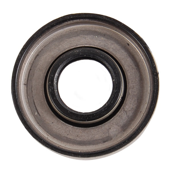 BRP Evinrude Oil Seal (823142)