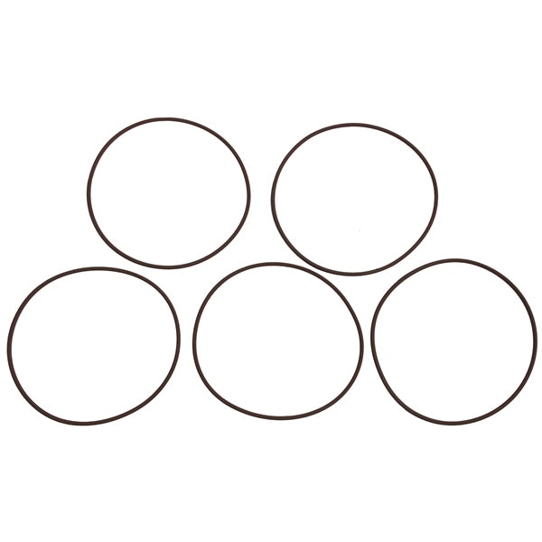 BRP Evinrude O-Ring Cylinder (823261)