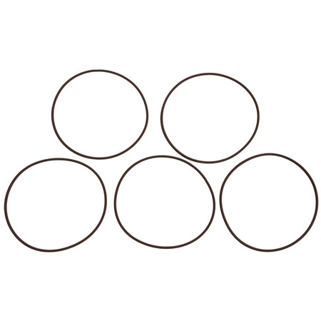 BRP Evinrude O-Ring Cylinder (823261)