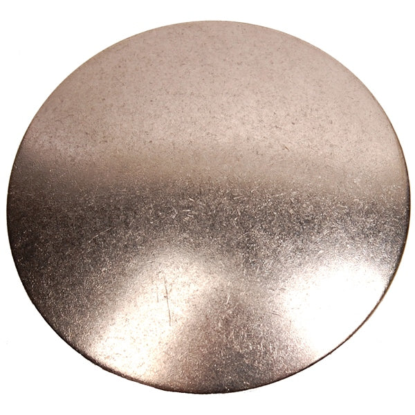 BRP Evinrude Plug (823341)