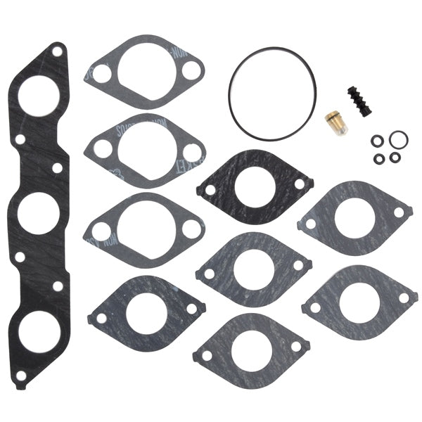BRP Evinrude Carburetor Repair Kit (823384)