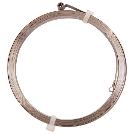 BRP Evinrude Spring (823456)