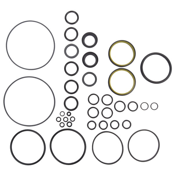 BRP Evinrude Tilt and Trim O-Ring Kit (824050)