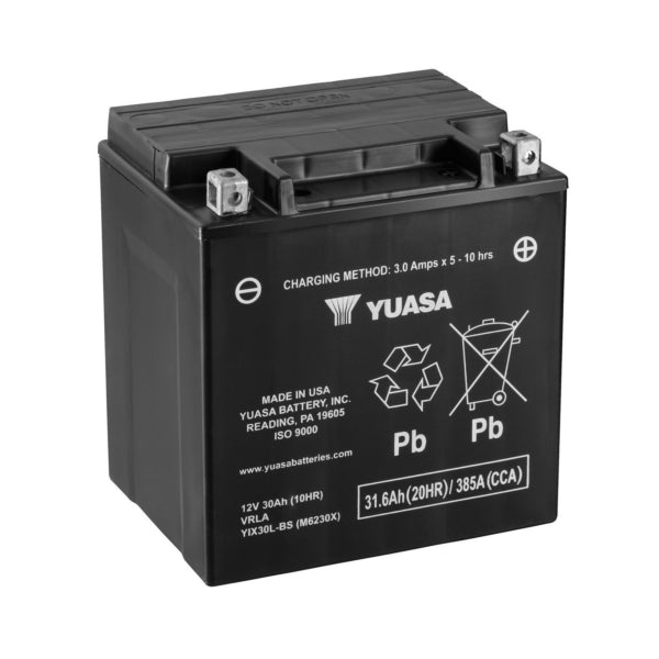 Yuasa Batterie Haute Performance AGM sans entretien (912163)