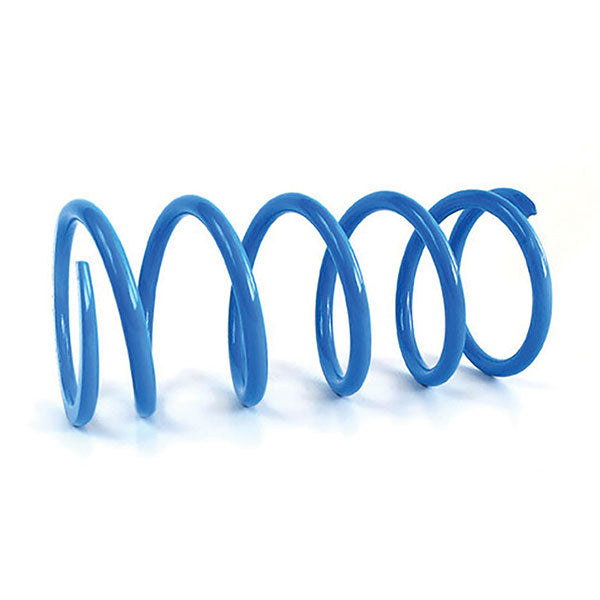 EPI Primary Clutch Spring