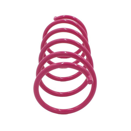 EPI Secondary Clutch Spring