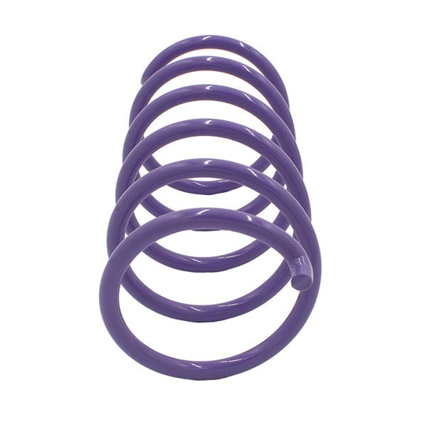 EPI Secondary Clutch Spring