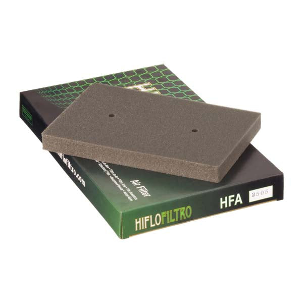 Filtre à air de remplacement Hiflofiltro OE (HFA2505)