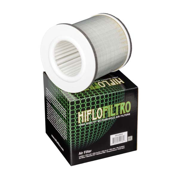 Filtre à air de remplacement Hiflofiltro OE (HFA4603)