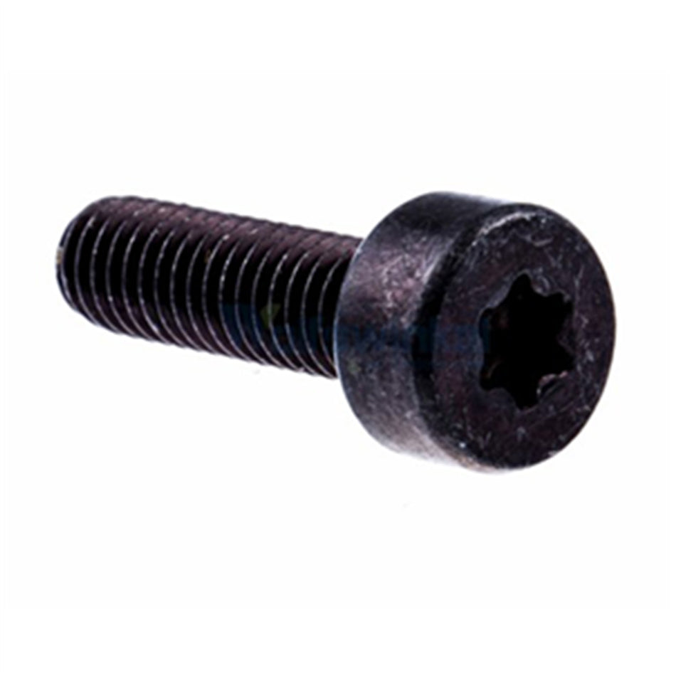 525762501 SCREW ITXSCM M6X20 T27 10.9 Z