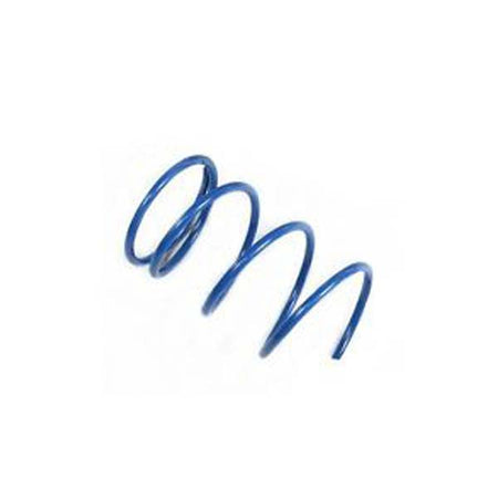 EPI Secondary Clutch Spring