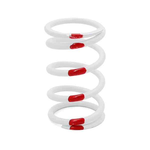 EPI Primary Clutch Spring