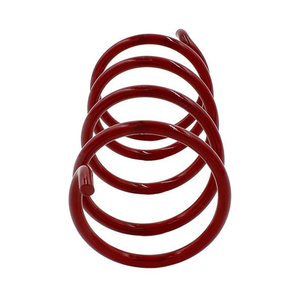 EPI Secondary Clutch Spring (QRSX5)